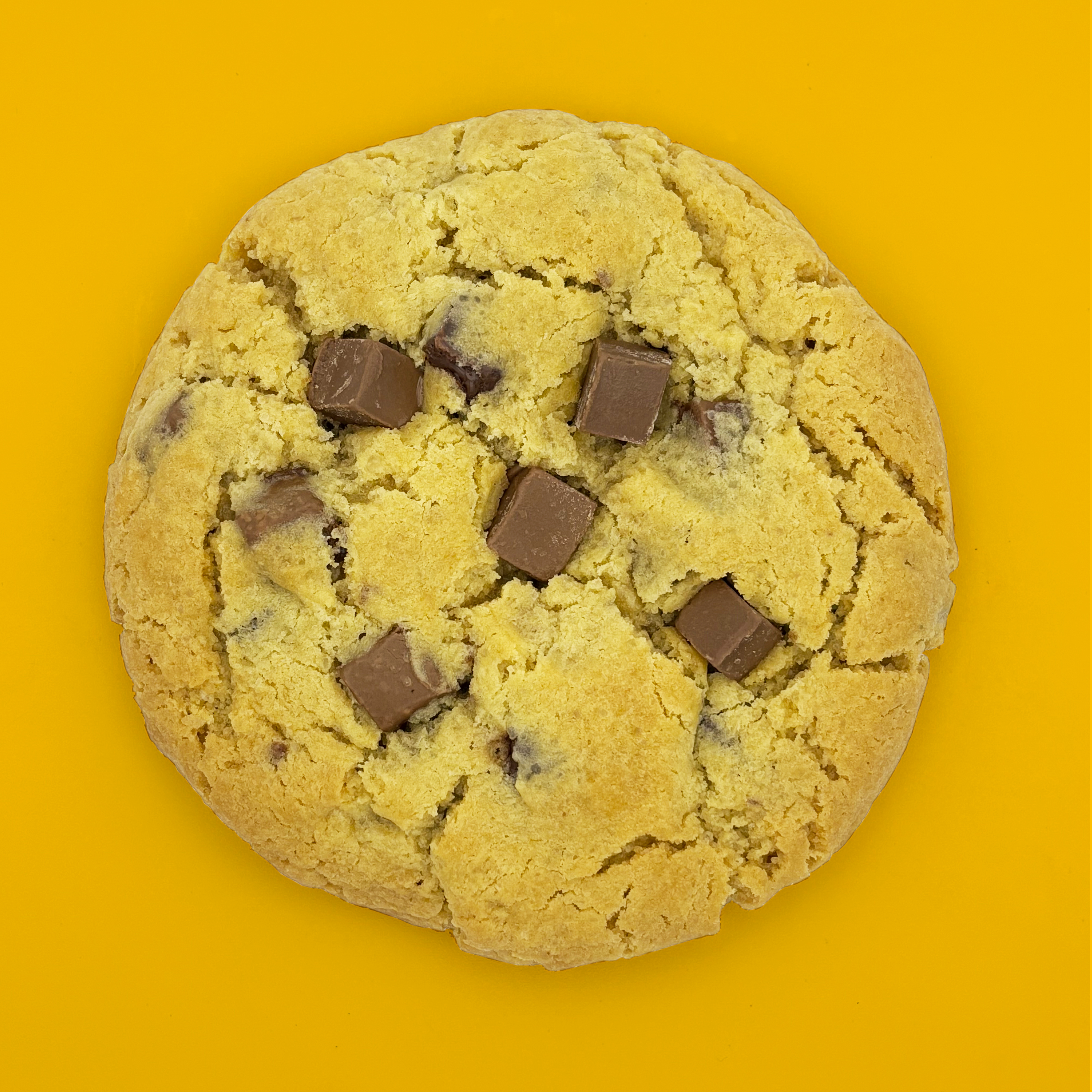 chewie cookie classico con cubi di cioccolato al latte e fondente